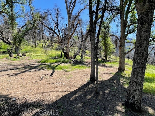 Detail Gallery Image 39 of 40 For 24 N. #35 Rd, Paskenta,  CA 96074 - 2 Beds | 1 Baths