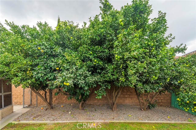 Detail Gallery Image 28 of 47 For 4761 Daisy Ave, Long Beach,  CA 90805 - 2 Beds | 1 Baths