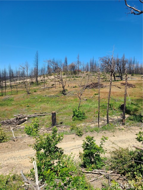 588 Zink, Berry Creek, CA, 95916 588 Zink, Berry Creek, CA, 95916