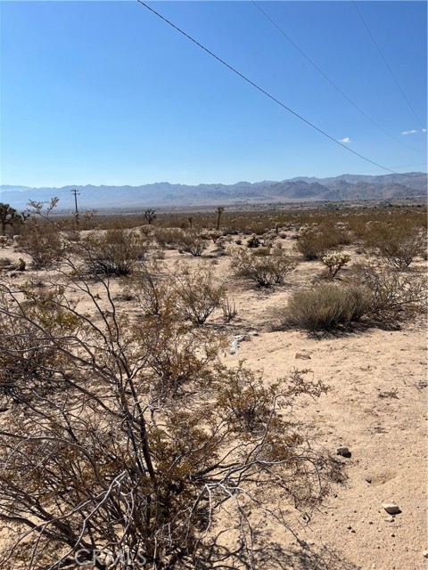 Detail Gallery Image 4 of 7 For 4024 Ocean, Joshua Tree,  CA 92252 - – Beds | – Baths