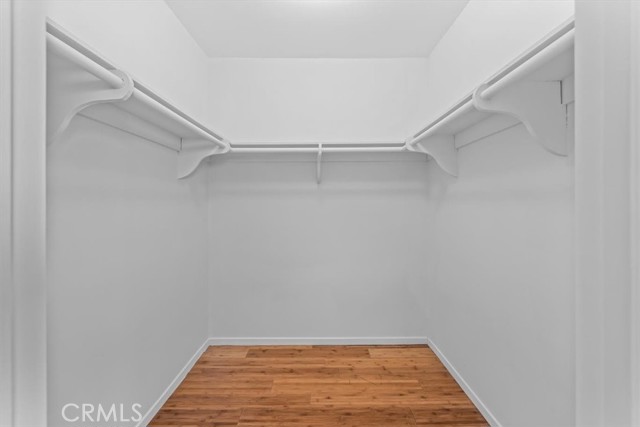 Walk in Closet for back bedroom