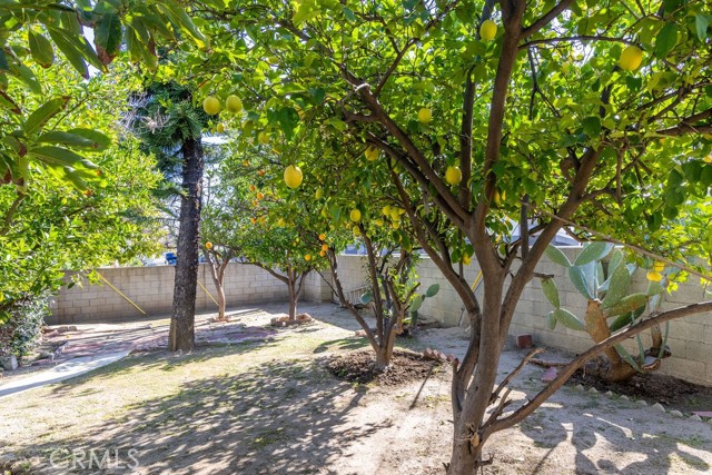 Detail Gallery Image 24 of 28 For 1502 Coronel, San Fernando,  CA 91340 - 3 Beds | 2 Baths