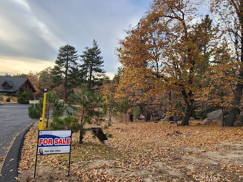 MLS #HD25258985 image #5