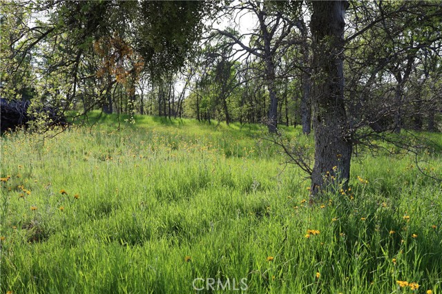 Detail Gallery Image 25 of 32 For 0 Douglas Rd, Coarsegold,  CA 93614 - – Beds | – Baths