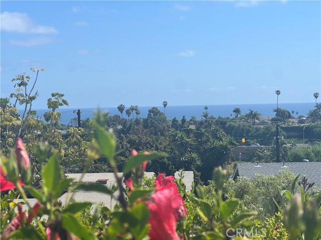 Detail Gallery Image 37 of 45 For 4119 Calle Mayo, San Clemente,  CA 92673 - 2 Beds | 2 Baths