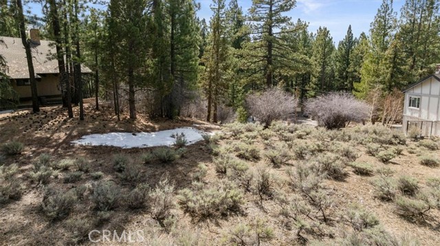 Detail Gallery Image 3 of 10 For 293 Catalina, Big Bear Lake,  CA 92315 - – Beds | – Baths