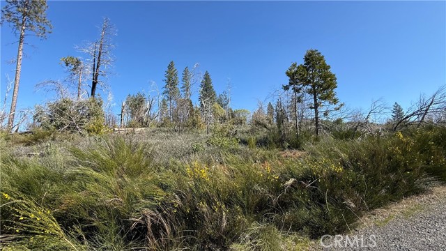 Detail Gallery Image 10 of 12 For 0 Starcrest Ln, Berry Creek,  CA 95916 - – Beds | – Baths