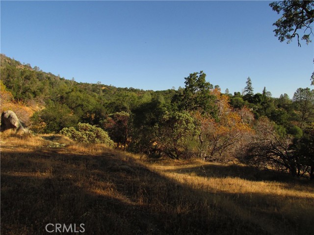 Detail Gallery Image 12 of 54 For 2 Ac Old Oaks Ct, North Fork,  CA 93643 - – Beds | – Baths
