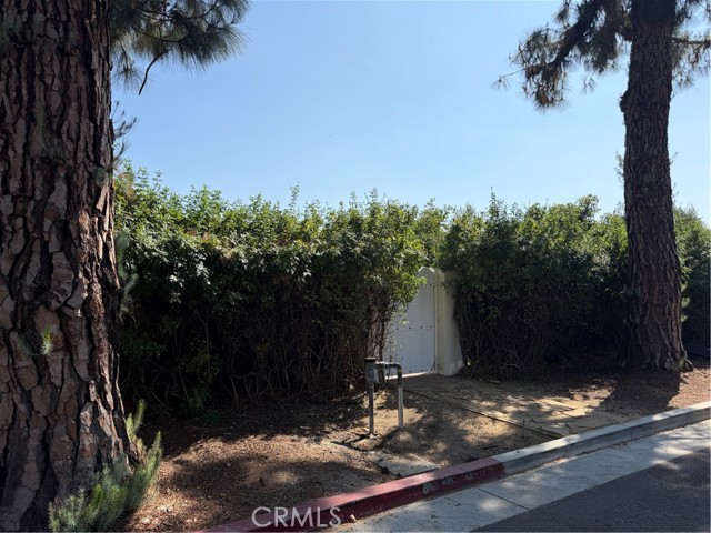 305 W Kenneth RD