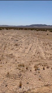 Front Image Thumbnail for CRPW26083174