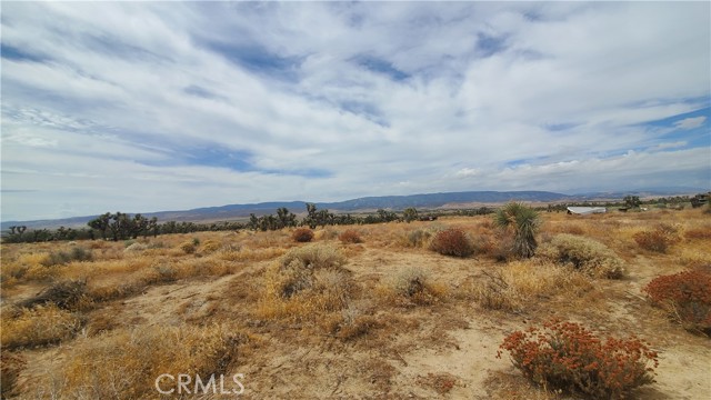 0 Vicinity Kingbird & 243rd St W, Rosamond, California 93560, ,Land,For Sale,0 Vicinity Kingbird & 243rd St W,CRSR23155108