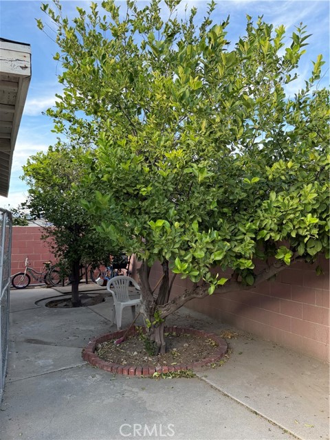 Detail Gallery Image 19 of 27 For 17312 Miller Ave, Fontana,  CA 92336 - 6 Beds | 6 Baths