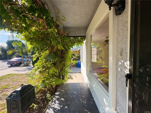 6933 Lime photo 7