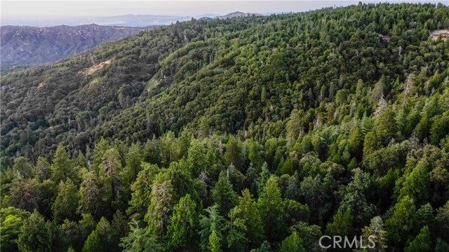 Detail Gallery Image 6 of 7 For 0 Mid Ln, Twin Peaks,  CA 92391 - – Beds | – Baths