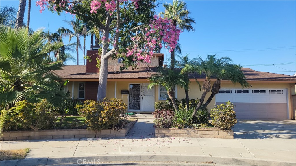 2507 E Banyan Court