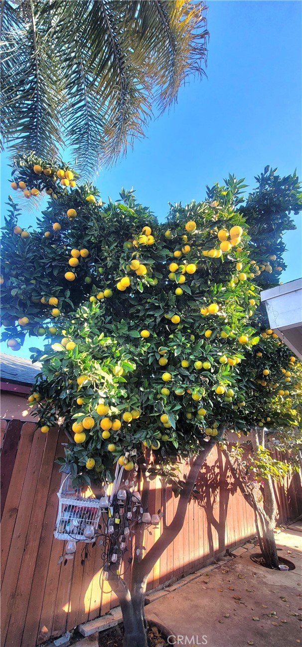 Detail Gallery Image 19 of 44 For 10181 Larson Ave, Garden Grove,  CA 92843 - 4 Beds | 4 Baths