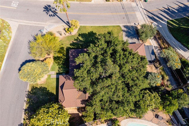 250 Hillgreen Place, Arcadia CA: https://media.crmls.org/medias/eb45d746-974e-41b6-bf53-c22ce062daa8.jpg