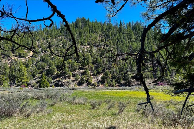 Detail Gallery Image 11 of 35 For 79402 State Highway 3, Trinity Center,  CA 96091 - – Beds | – Baths