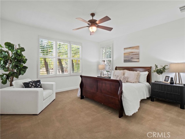 Image 14 of 60 For 25679 Smoketree