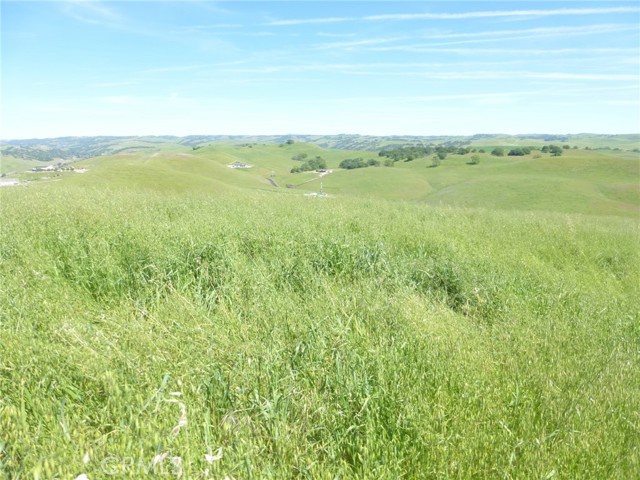 Detail Gallery Image 30 of 44 For 0 Douglas Rd. (Lot 34), San Miguel,  CA 93451 - – Beds | – Baths