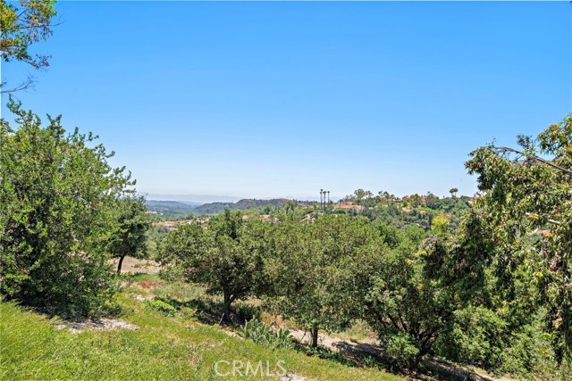 Detail Gallery Image 46 of 58 For 39 La Purisima, Rancho Santa Margarita,  CA 92688 - 4 Beds | 3 Baths