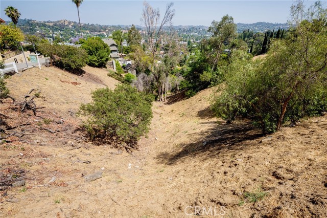 Detail Gallery Image 6 of 36 For 0 Norwalk Ave, Eagle Rock,  CA 90041 - – Beds | – Baths