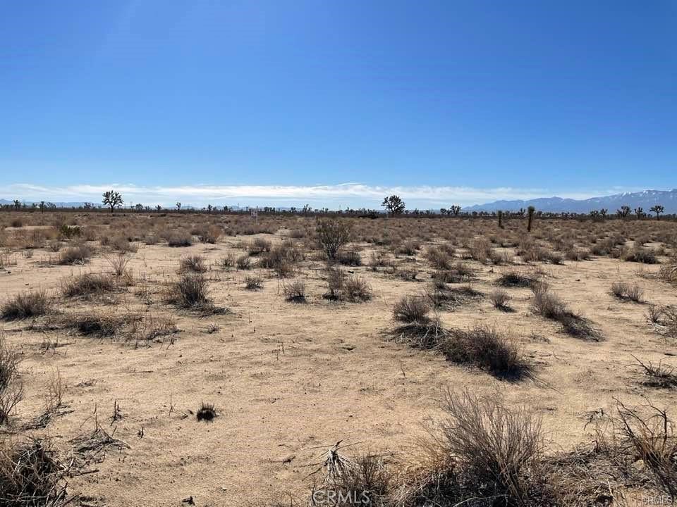 MLS #HD25000657 image #21