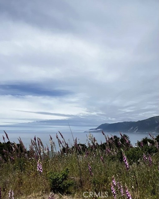 Detail Gallery Image 3 of 5 For 53 Redcrest Ct, –,  CA 95589 - – Beds | – Baths