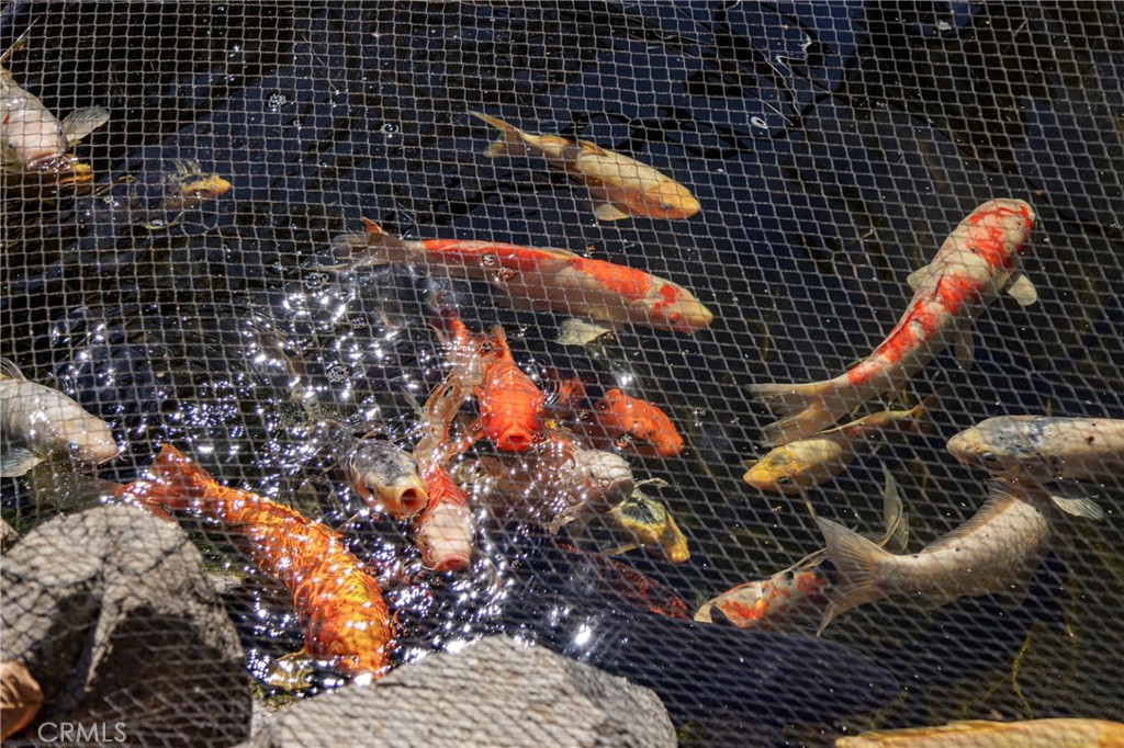 MLS #OC25023879 image #36