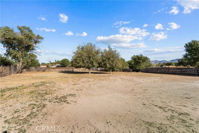 36868 95th East photo 31
