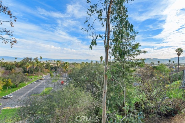 Detail Gallery Image 34 of 41 For 4121 Park View, Riverside,  CA 92501 - 3 Beds | 2/1 Baths