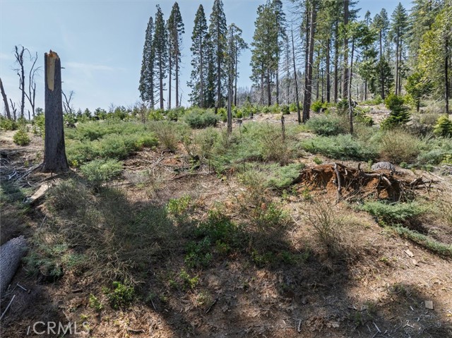 Detail Gallery Image 56 of 71 For 7604 Summit Rd, Fish Camp,  CA 93623 - 4 Beds | 3 Baths