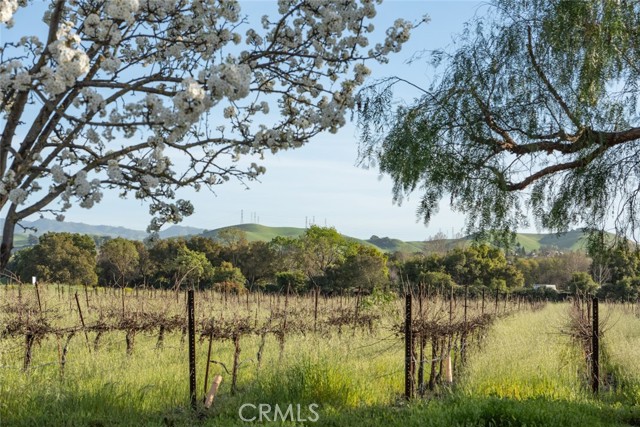 Detail Gallery Image 61 of 75 For 2459 French Oak, Livermore,  CA 94550 - 5 Beds | 4 Baths