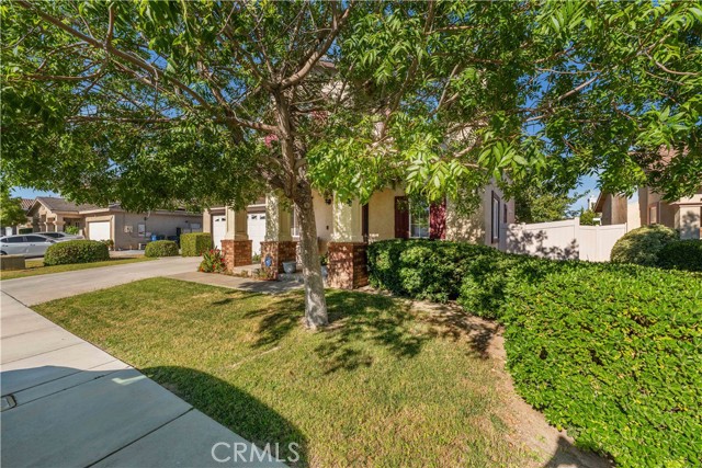 37032 Sabal Avenue, Palmdale CA: https://media.crmls.org/medias/eb6c5a9b-70be-420b-a669-1243adb71004.jpg