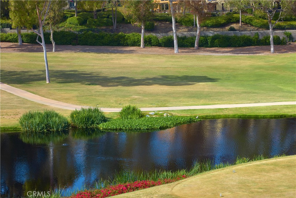 MLS #NP25251403 image #42