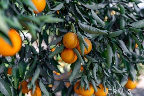 https://media.crmls.org/medias/eb6fa40e-34d1-4116-aa4b-c5e25fb38b49.jpg?preset=X-Large