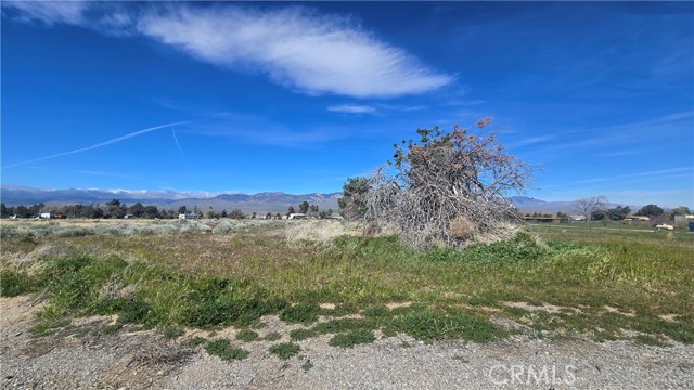 Detail Gallery Image 20 of 32 For 0 Lancaster Rd/Hwy 138 Vic 283rd W, –,  CA 93536 - – Beds | – Baths