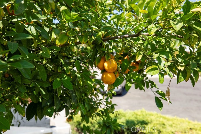 Detail Gallery Image 40 of 40 For 11110 Odell, Sunland,  CA 91040 - 4 Beds | 3 Baths