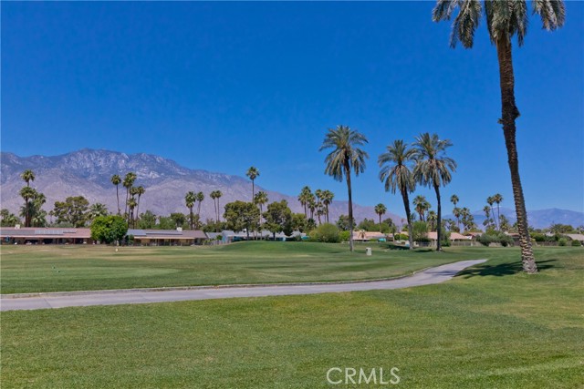 Detail Gallery Image 44 of 53 For 2263 Los Patos Dr, Palm Springs,  CA 92264 - 2 Beds | 2 Baths