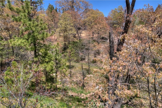 Detail Gallery Image 10 of 12 For 27998 W Shore Rd, Lake Arrowhead,  CA 92352 - – Beds | – Baths