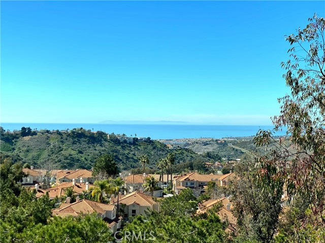 MLS# OC24010491