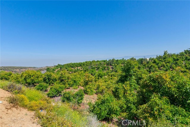 Detail Gallery Image 47 of 71 For 1922 Edgefair Ln, Redlands,  CA 92373 - 3 Beds | 3/1 Baths