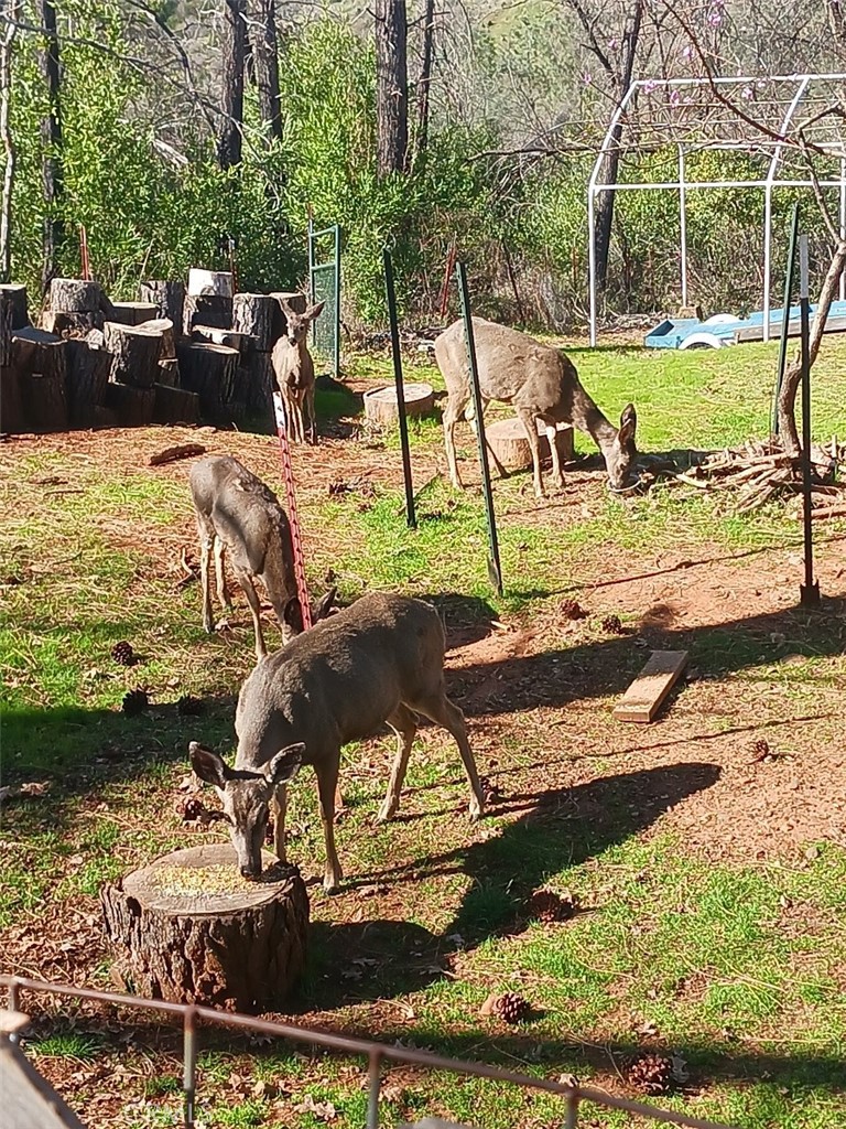 MLS #PA25227304 image #49