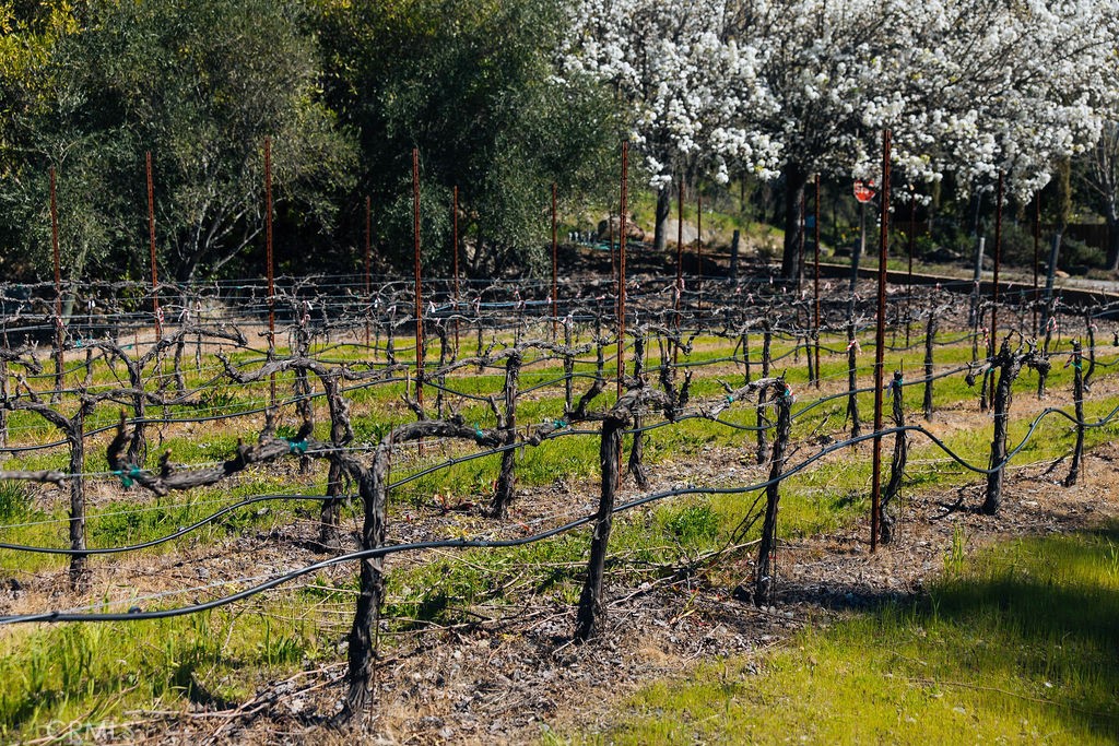 Eb8812D0 68A0 4A77 9Cd2 Ae5E503A3325 1001 Silverado Trail South, St. Helena, Ca 94574 &Lt;Span Style='BackgroundColor:transparent;Padding:0Px;'&Gt; &Lt;Small&Gt; &Lt;I&Gt; &Lt;/I&Gt; &Lt;/Small&Gt;&Lt;/Span&Gt;