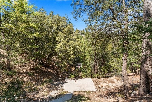 Detail Gallery Image 50 of 63 For 279 Fairway Dr, Lake Arrowhead,  CA 92352 - 6 Beds | 4/1 Baths