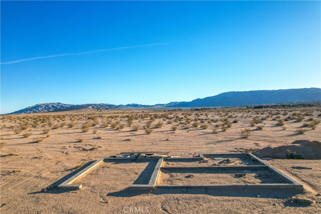 MLS #JT24014516 image #15