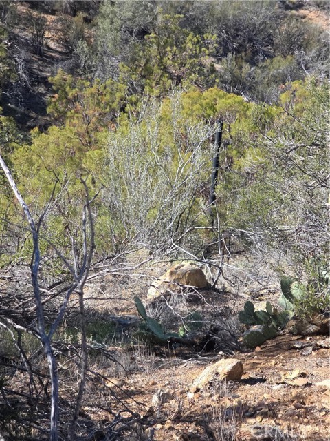 Detail Gallery Image 8 of 17 For 0 Taron Trail, Anza,  CA 92539 - – Beds | – Baths