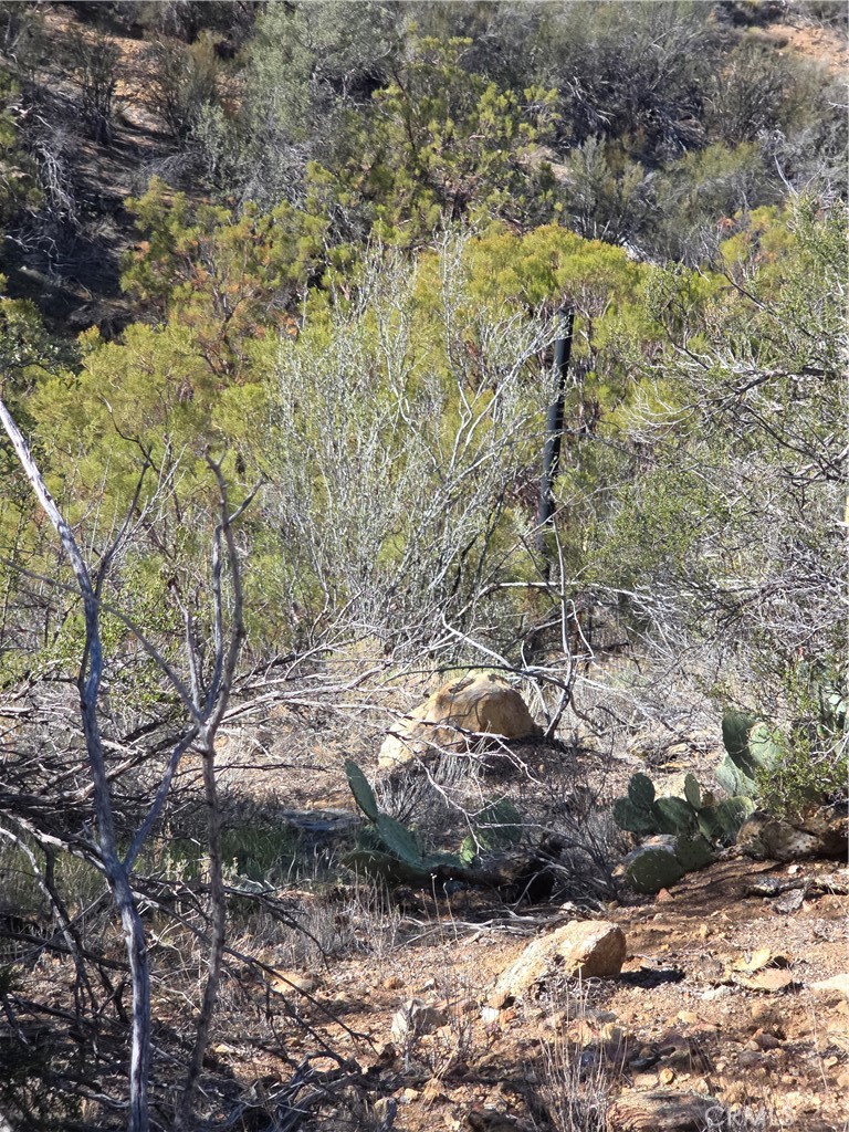 MLS #SW25248553 image #7