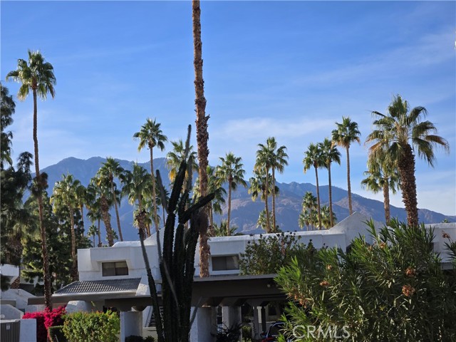 Detail Gallery Image 1 of 27 For 5301 E Waverly Dr #195,  Palm Springs,  CA 92264 - 2 Beds | 2 Baths