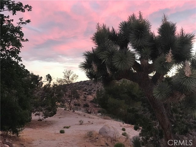 56564 Nelson Avenue, Yucca Valley CA: https://media.crmls.org/medias/ebadf80f-40b6-4185-92ff-389ab2bc25f0.jpg